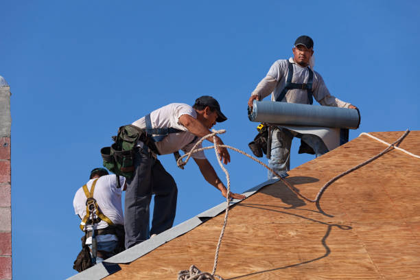 Best Roof Maintenance Services  in Hurricane, WV