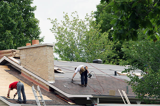 Best Roof Gutter Cleaning  in Hurricane, WV